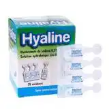 Hyaline, Bt 28 à Fargues-  Saint Hilaire
