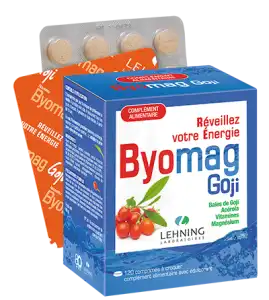 Lehning Byomag Goji Comprimés à Croquer B/120 à Angers