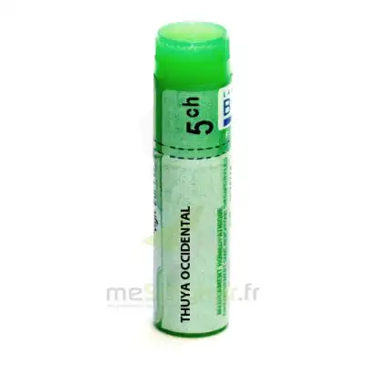 Boiron Thuya Occidentalis 5ch Globules Dose De 1g à MONSWILLER
