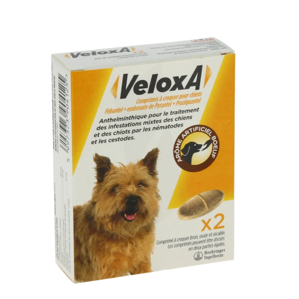 Veloxa Comprimes A Croquer Pour Chiens, Comprimé à Croquer