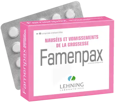 Lehning Famenpax Comprimés Orodispersibles 2plq/20 à AMBARÈS-ET-LAGRAVE