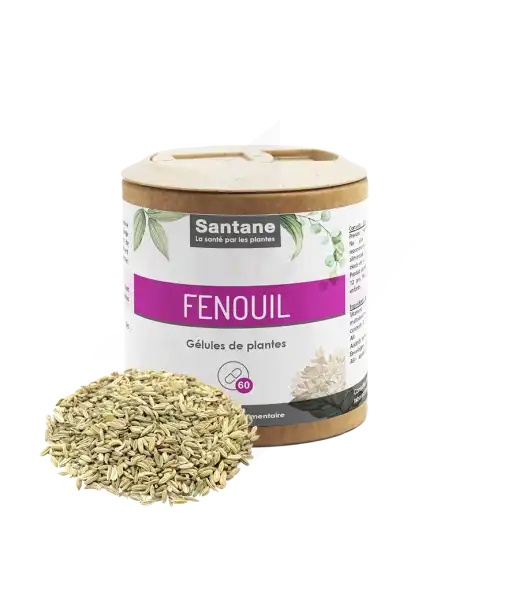 Santane Fenouil Gélules De Poudre De Plantes 200mg B/60