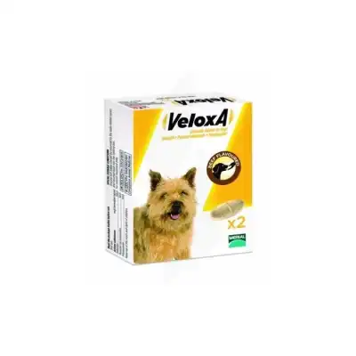Veloxa Comprimés à croquer vermifuge chien B/2