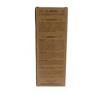 L'herbothicaire Echinacée Bio Tisane B/50g