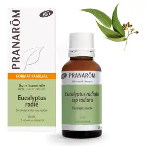 Pranarôm Huile Essentielle Bio Eucalyptus Radié Fl/30ml à PERTUIS