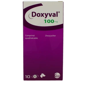 Doxyval 100 Mg Comprime Quadrisecable Pour Chien, Comprimé