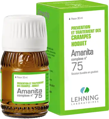 Lehning Amanita Complexe N°75 Solution Buvable En Gouttes Fl/30ml à LA-RIVIERE-DE-CORPS