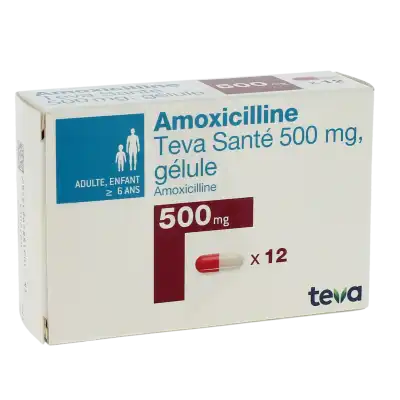 AMOXICILLINE TEVA SANTE 500 mg, gélule