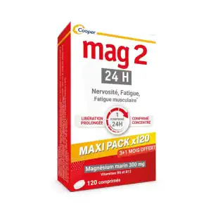 Acheter Mag 2 24H Comprimés B/120 à Rueil-Malmaison