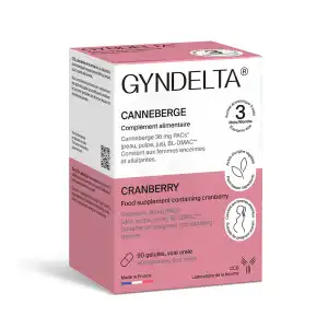 Gyndelta Confort Urinaire 3 Mois Gélules B/90 à VERNON