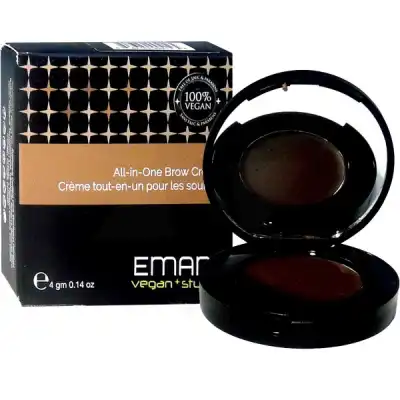 Emani Fard Crème Tout-en-un Pour Les Sourcils 4g (412) Marron Foncé/ Dark Brown à Annecy