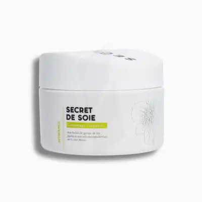Pin Up Secret Secret De Soie Gommage Corporel Attirance Pot/400g à Mérignac