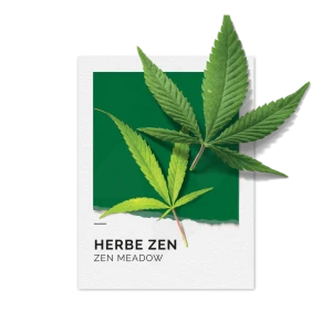 Solinotes Herbe Zen Eau De Parfum 15ml