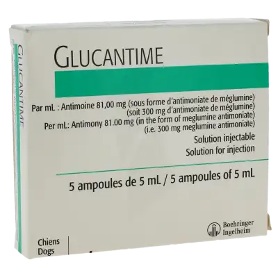 GLUCANTIME, Solution injectable