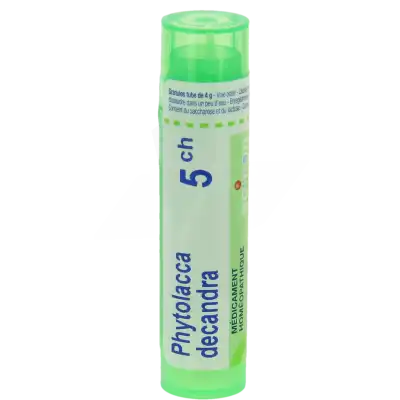 Boiron Phytolacca Decandra 5ch Granules Tube De 4g à Chalon-sur-Saône