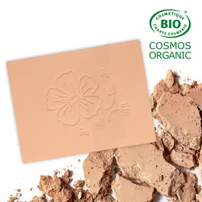 Dyp Cosmethic Poudre Velours (recharge) 313 Beige Orangé à Le Teich