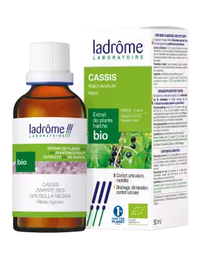 Ladrôme Extrait De Plante Cassis Feuille 50ml à UGINE