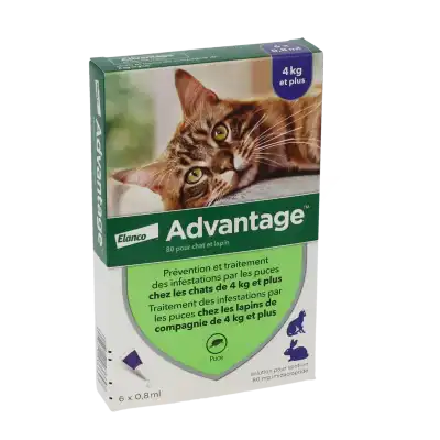 Advantage 80 Pour Chat Et Lapin, Solution Pour Spot-on à CANEJAN