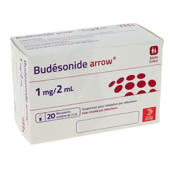 Budesonide Arrow 1 Mg/2 Ml, Suspension Pour Inhalation Par Nébuliseur En Récipient Unidose