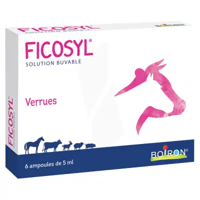 Boiron Ficosyl Ga Solution Buvable 6 Ampoules/5ml à Pessac