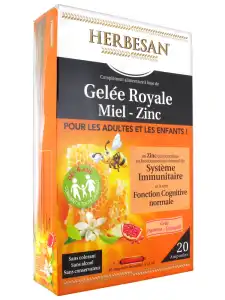 Herbesan Gelée Royale Miel - Zinc Dès 4 Ans B/20 à VINCENNES