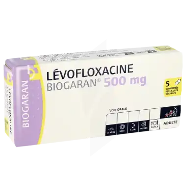 LEVOFLOXACINE BIOGARAN 500 mg, comprimé pelliculé sécable