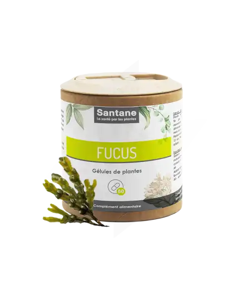 Santane Fucus Gélules De Poudre De Plantes 150mg B/60