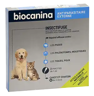 Insectifuge Spot On Solution Externe Chiot/chaton 2 Pipettes à  NICE