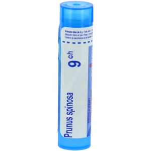 Prunus Spinosa 9ch Granules