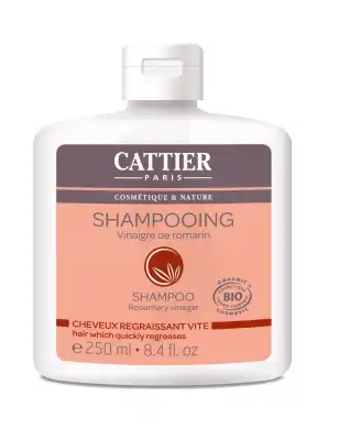 Cattier Shampooing Cheveux Gras 250ml à Gradignan