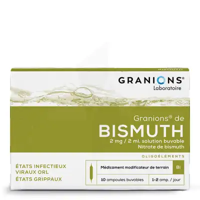 Granions De Bismuth 2 Mg/2 Ml Solution Buvable 10 Ampoules/2ml à TOUCY