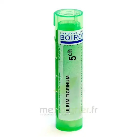 Boiron Lilium Tigrinum 5ch Granules Tube De 4g