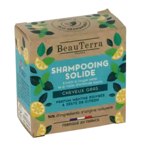 Acheter Beauterra Shampooing Solide Cheveux Gras B/75g à CUSY