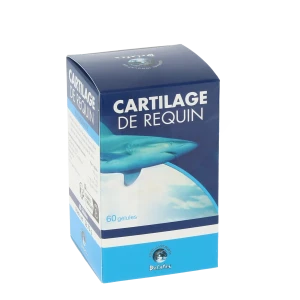 Cartilage De Requin Mondial Innovation, Bt 60