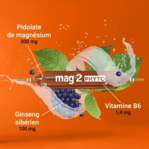 Mag 2 Phyto Energie Solution Buvable 15 Ampoules