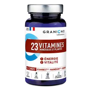 Granions 23 Vitamines Minéraux Et Plantes Comprimés B/90 à PINS-JUSTARET