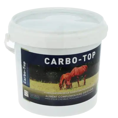 Carbo-top Glé B/1kg à Delle
