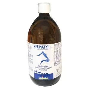 Boiron Rhumatyl Ga Solution Buvable Fl/1l