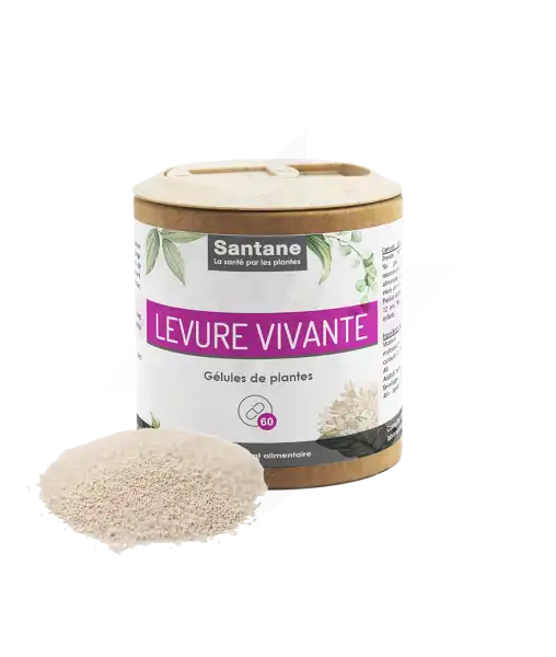 Santane Levure Vivant Gélules De Poudre De Plantes 390mg B/60