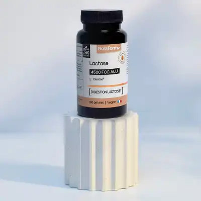Nat&form Nutraceutiques Premium Lactase Gélules Boîte De 60 à FONTENAY-TRESIGNY