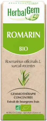 Herbalgem Romarin Macerat Mere Concentre Bio 30 Ml à Bordeaux