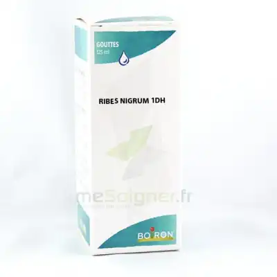 Ribes Nigrum 1dh Flacon 125ml à VILLERS-LE-LAC