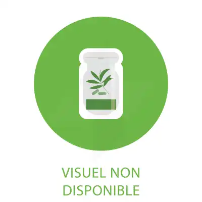 Uberti Psyllium Bio Sach/300g à ROMORANTIN-LANTHENAY