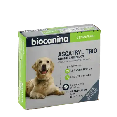 Biocanina Ascatryl Trio Comprimés Grand Chien B/2 à Mérignac