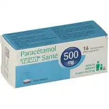 Paracetamol Teva Sante 500 Mg, Comprimé Effervescent à Mérignac
