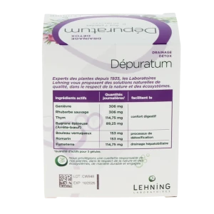 Lehning Dépuratum Gélules Drainage Détox B/60