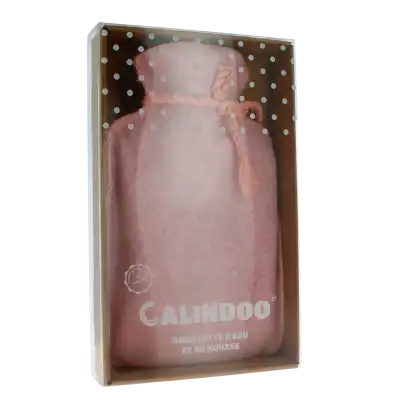 Calindoo Bouillotte Avec Housse Flanelle Rose Pastel 2 L à SAINT-GERMAIN-DU-PUY