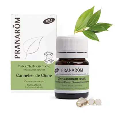 Acheter Pranarom Perle bio Cannelier de Chine B/60 à CUERS