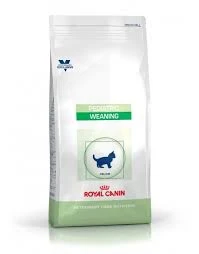 Royal Canin Chat Pediatric Weaning 2kg