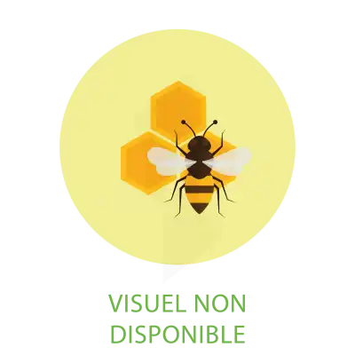 Superdiet Miel Propolis Pollen Bio Solution Buvable 30 Ampoules/15ml à ANGLET
